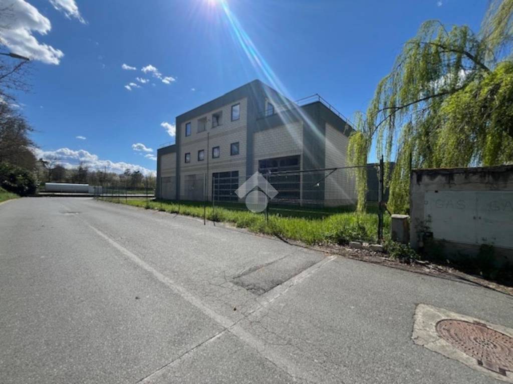 immagine annuncio 5 di 13