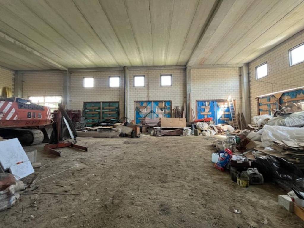 immagine annuncio 12 di 13