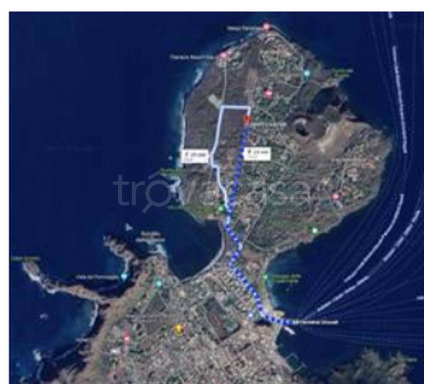 immagine annuncio 3 di 13