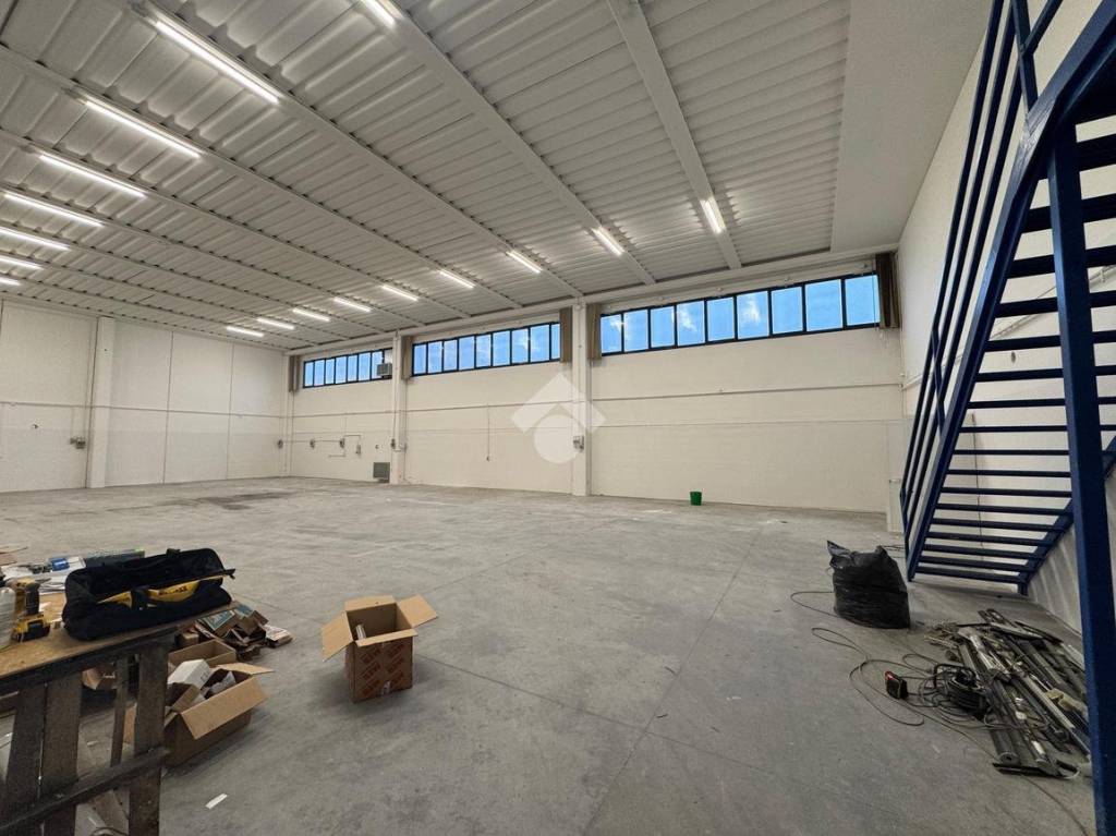 immagine annuncio 5 di 15