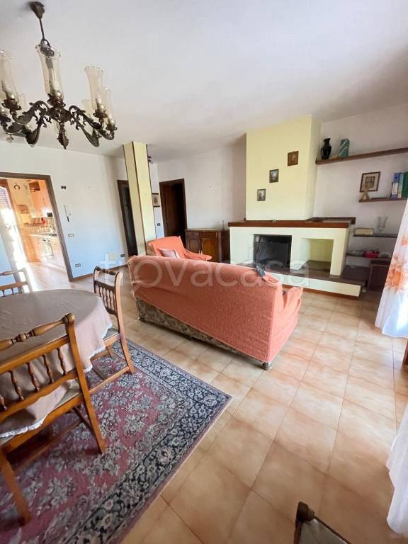 immagine annuncio 3 di 13