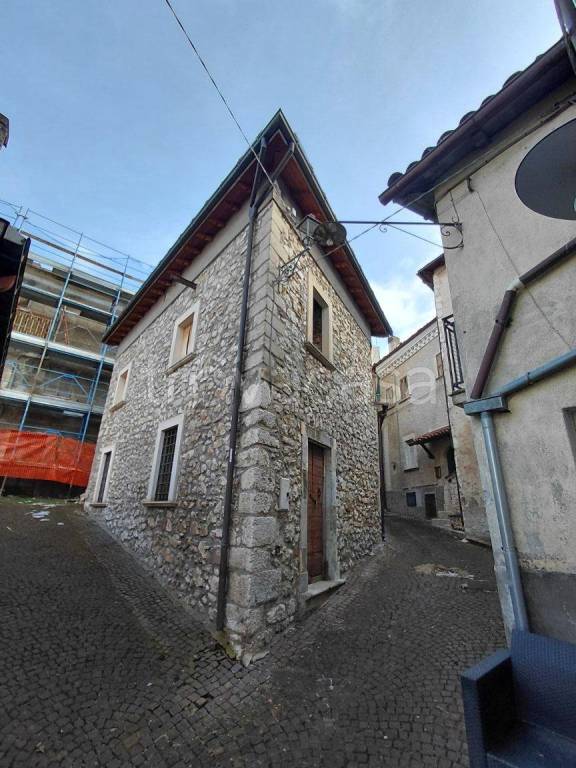 immagine annuncio 1 di 14