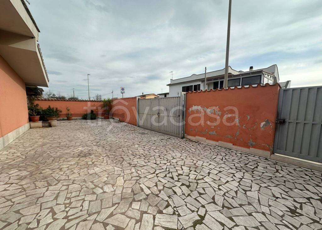 immagine annuncio 7 di 12