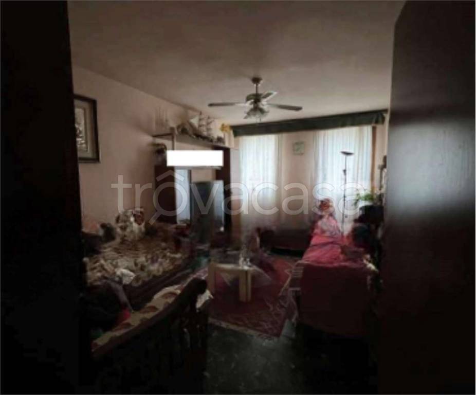 immagine annuncio 9 di 12