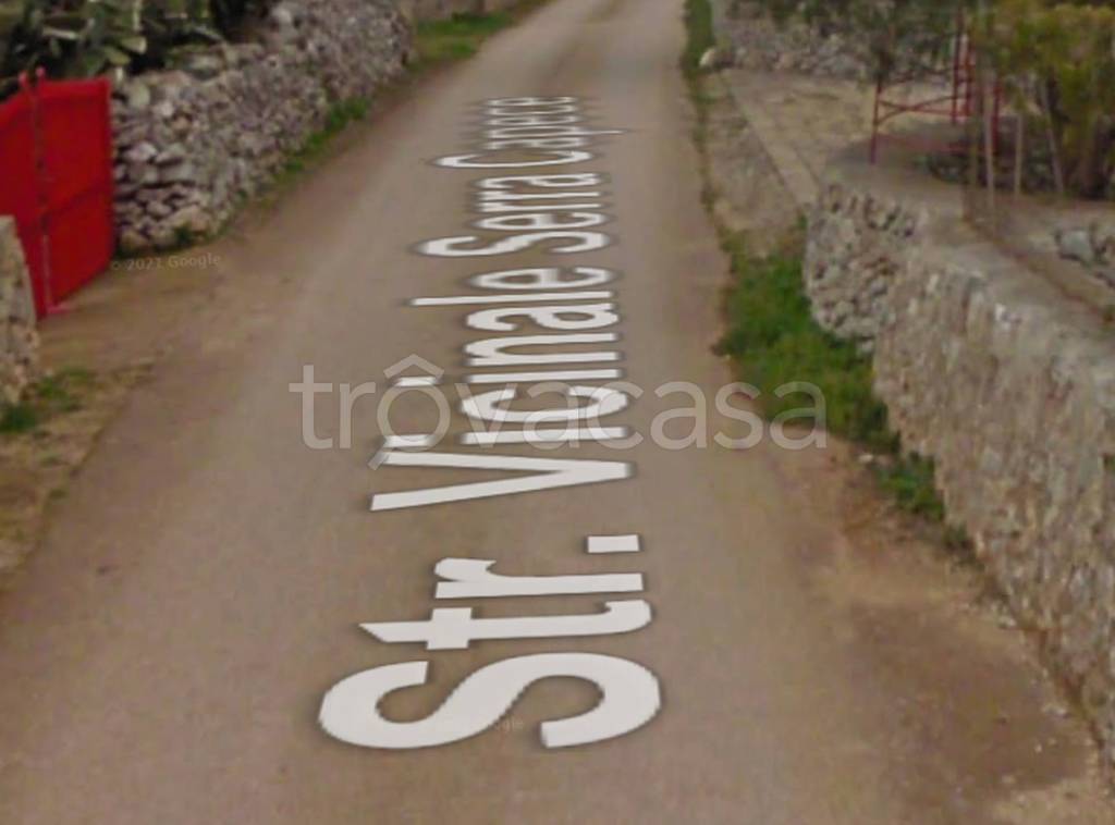 immagine annuncio 10 di 14