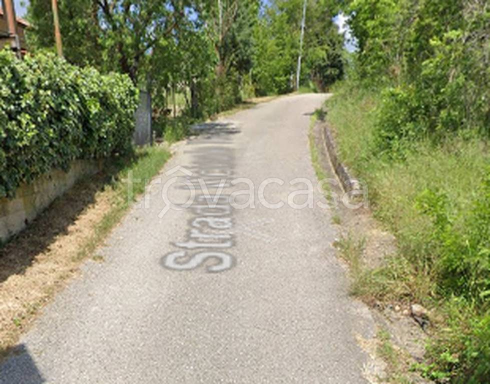 immagine annuncio 7 di 11