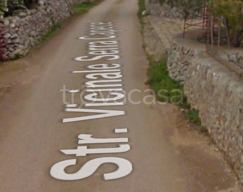 immagine annuncio 11 di 14