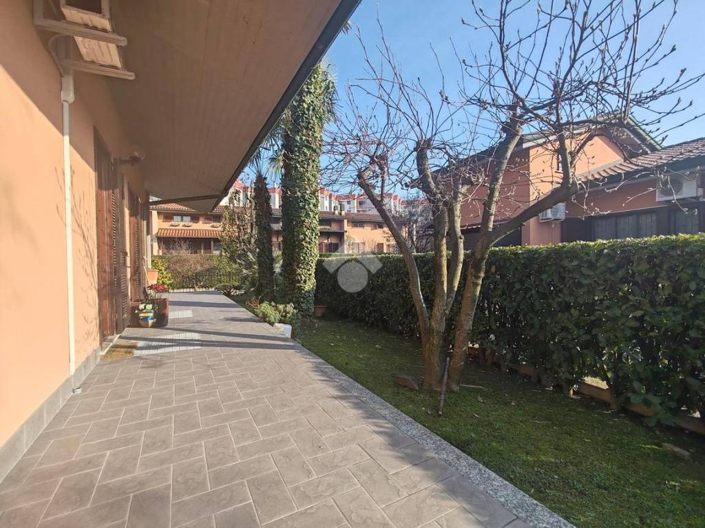 immagine annuncio 9 di 15