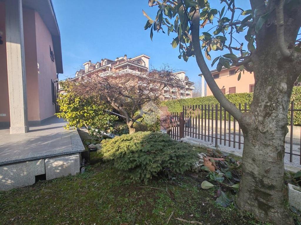 immagine annuncio 14 di 15