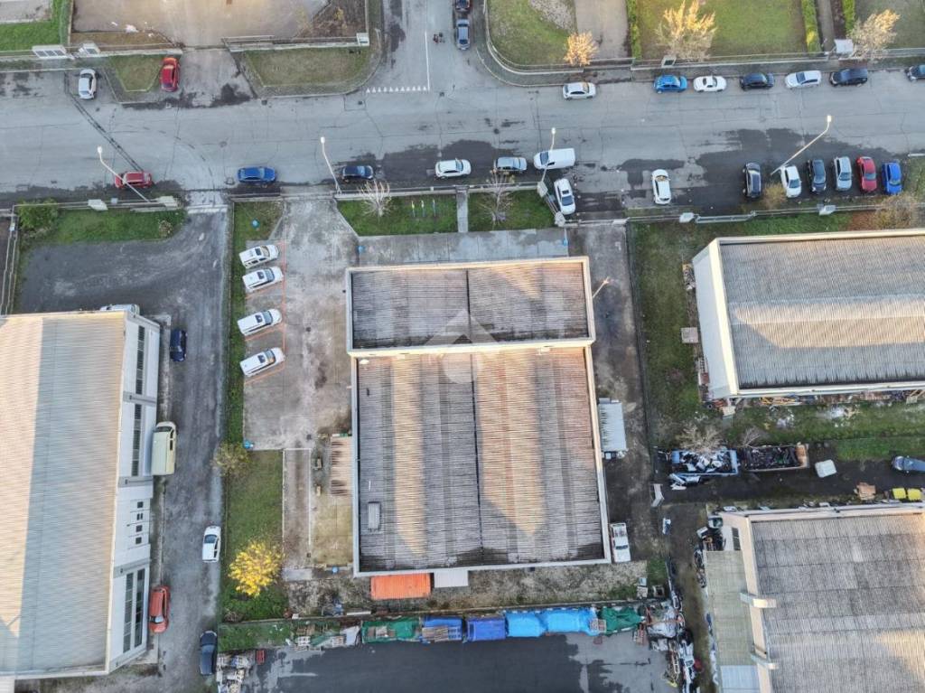 immagine annuncio 11 di 15