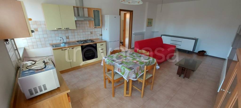 immagine annuncio 5 di 12