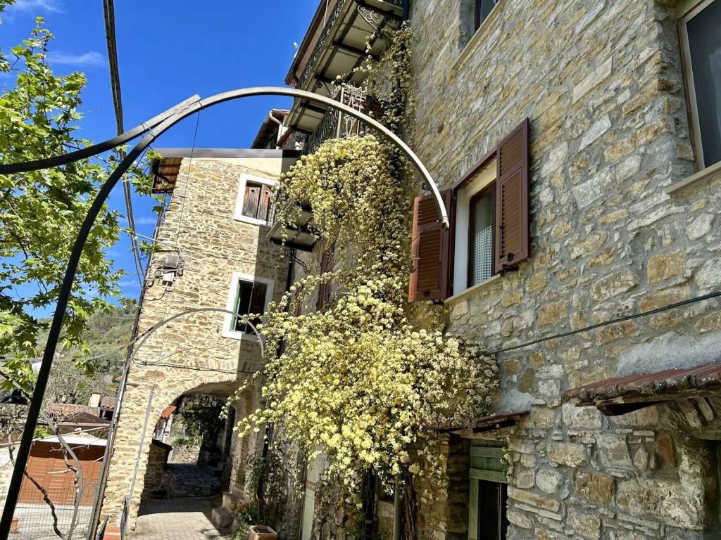 immagine annuncio 11 di 14