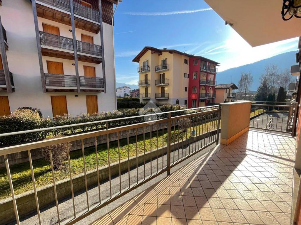 immagine annuncio 4 di 14