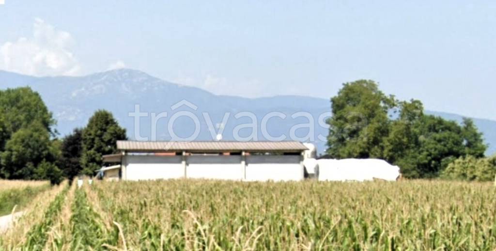 immagine annuncio 2 di 8