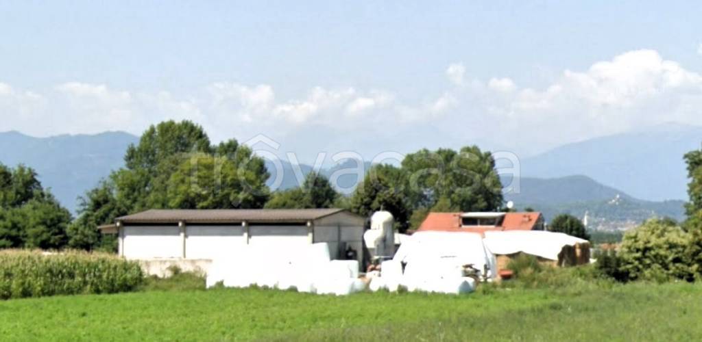 immagine annuncio 5 di 8