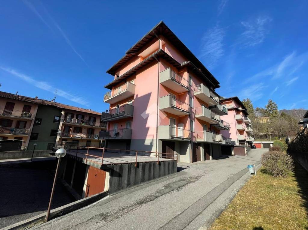 immagine annuncio 12 di 14