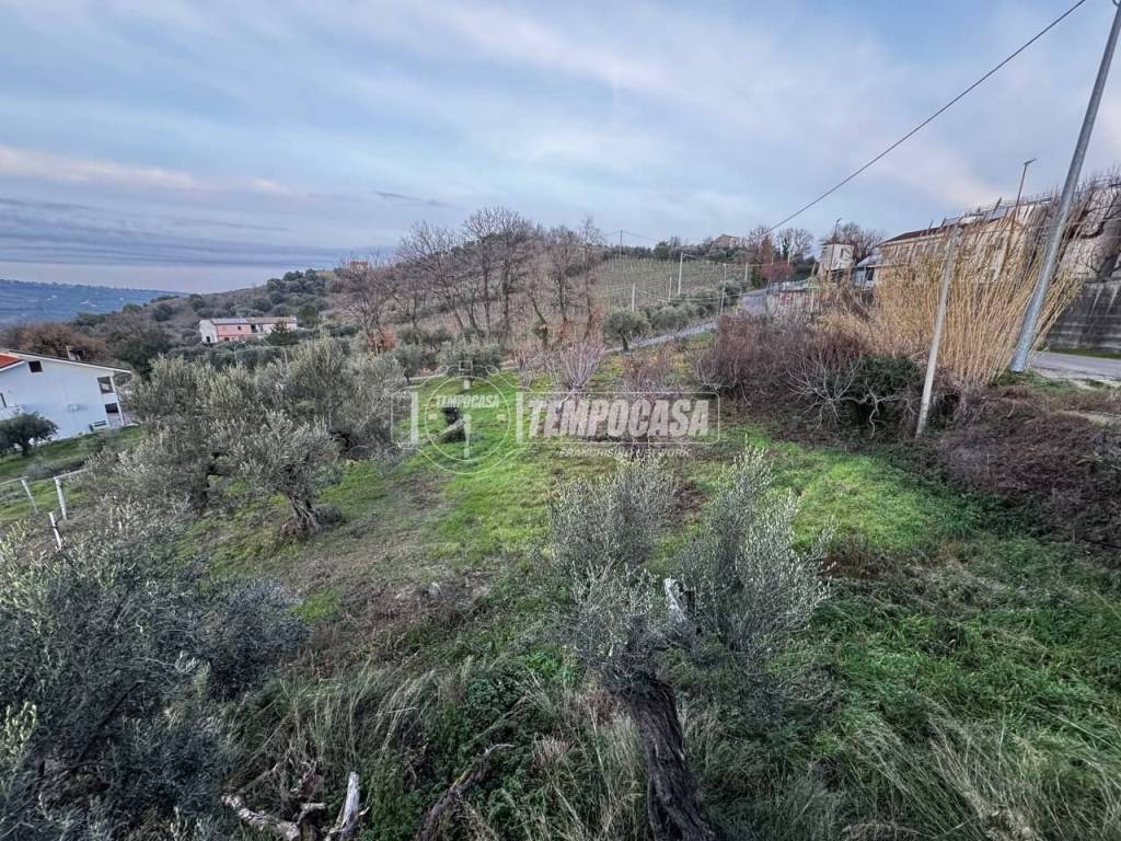 immagine annuncio 14 di 15