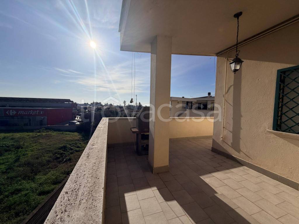 immagine annuncio 2 di 12