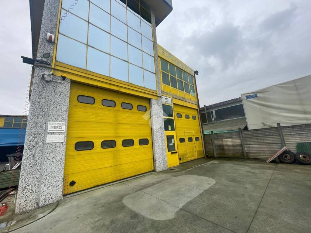 immagine annuncio 2 di 15