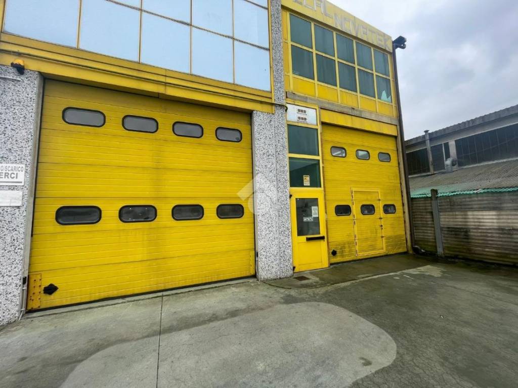 immagine annuncio 4 di 15