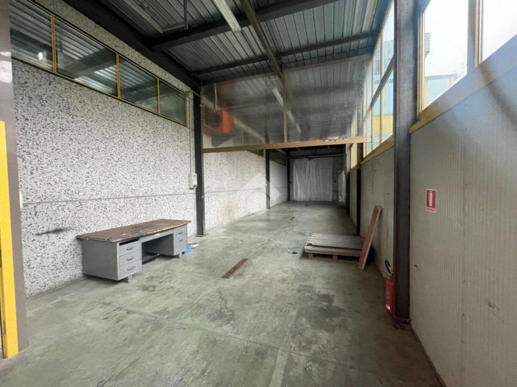 immagine annuncio 9 di 15