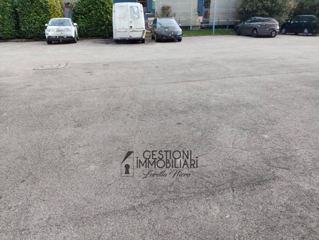 immagine annuncio 9 di 11