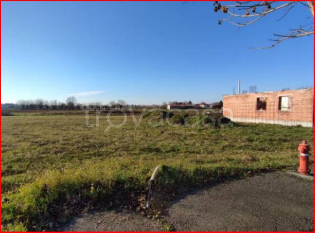 immagine annuncio 2 di 12