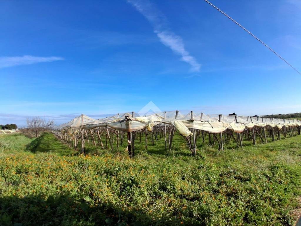 immagine annuncio 3 di 6