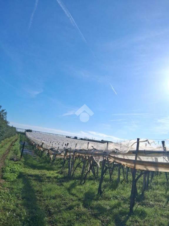 immagine annuncio 4 di 6