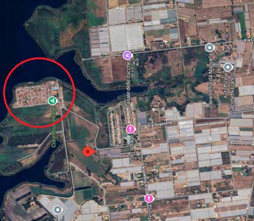 immagine annuncio 14 di 15