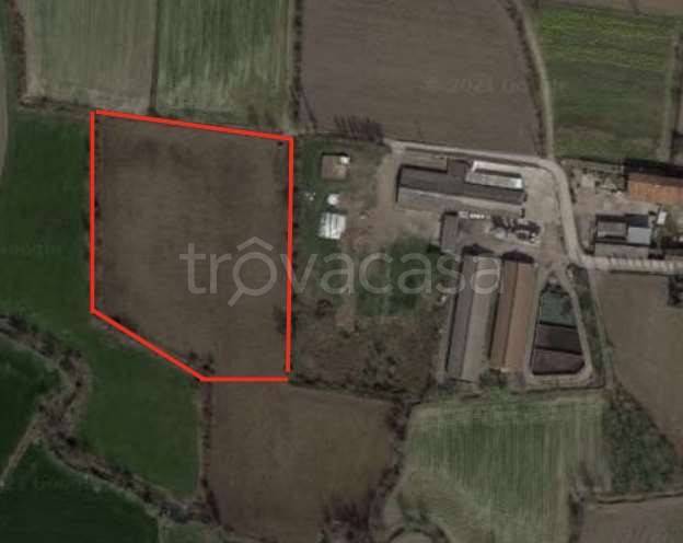 immagine annuncio 2 di 6