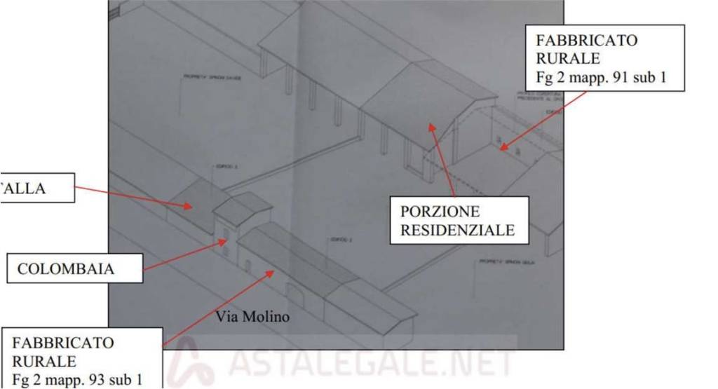 immagine annuncio 5 di 6