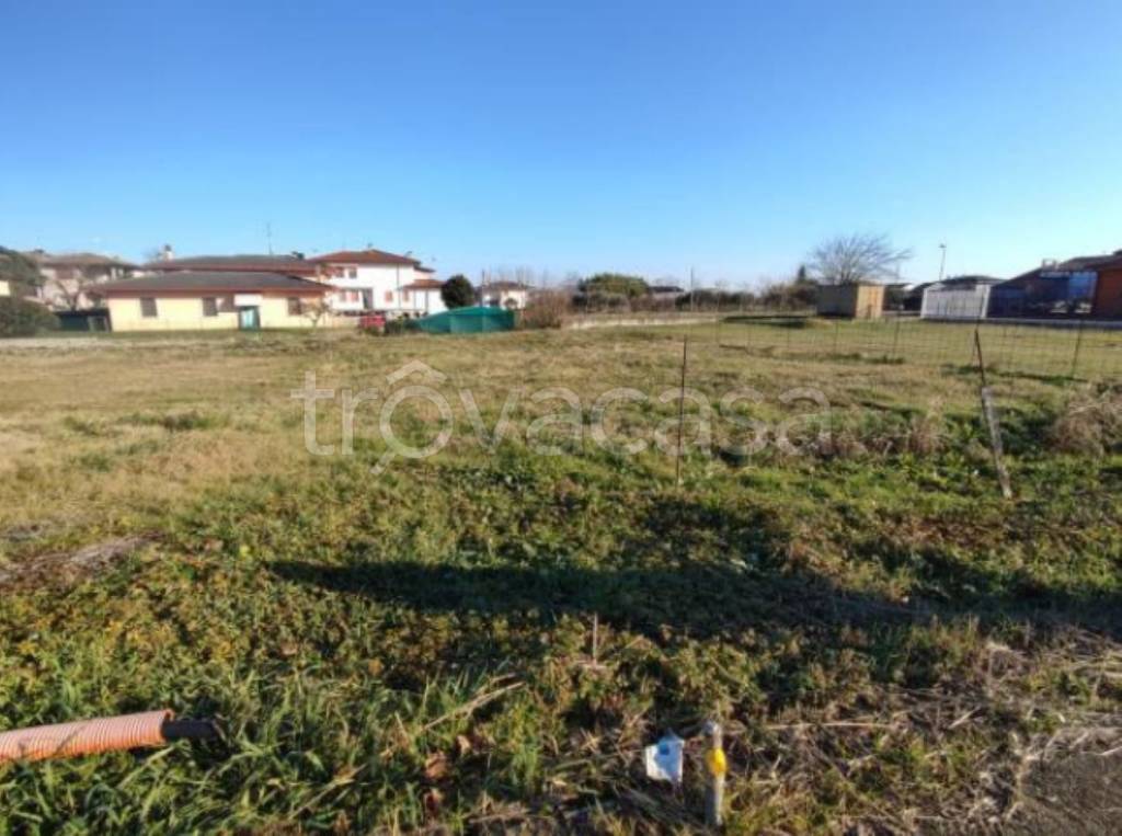 immagine annuncio 3 di 11