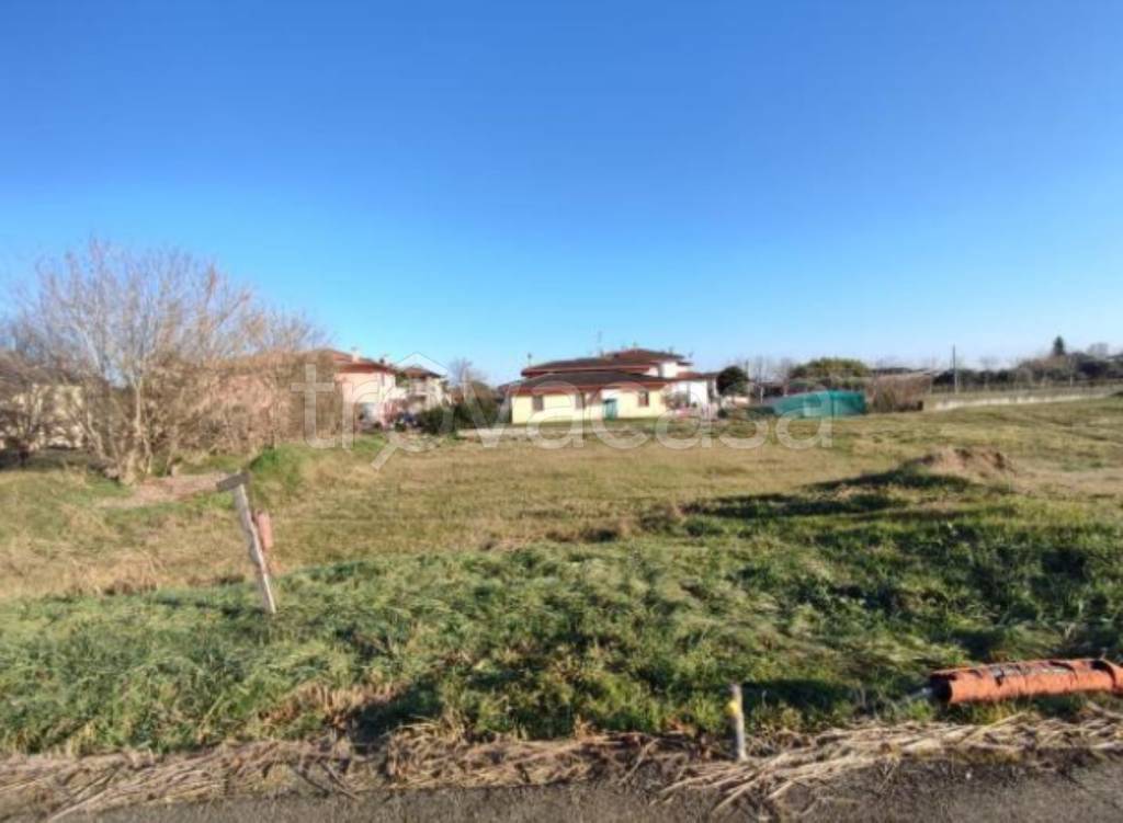 immagine annuncio 5 di 11