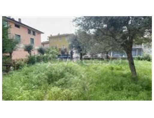 immagine annuncio 2 di 12