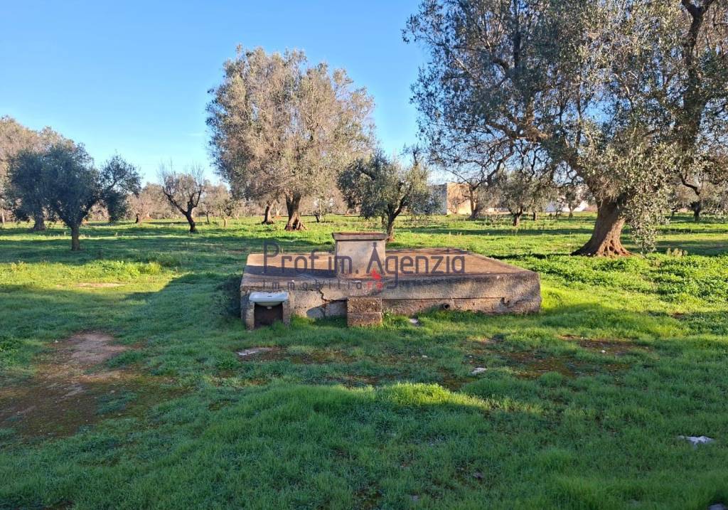 immagine annuncio 3 di 8