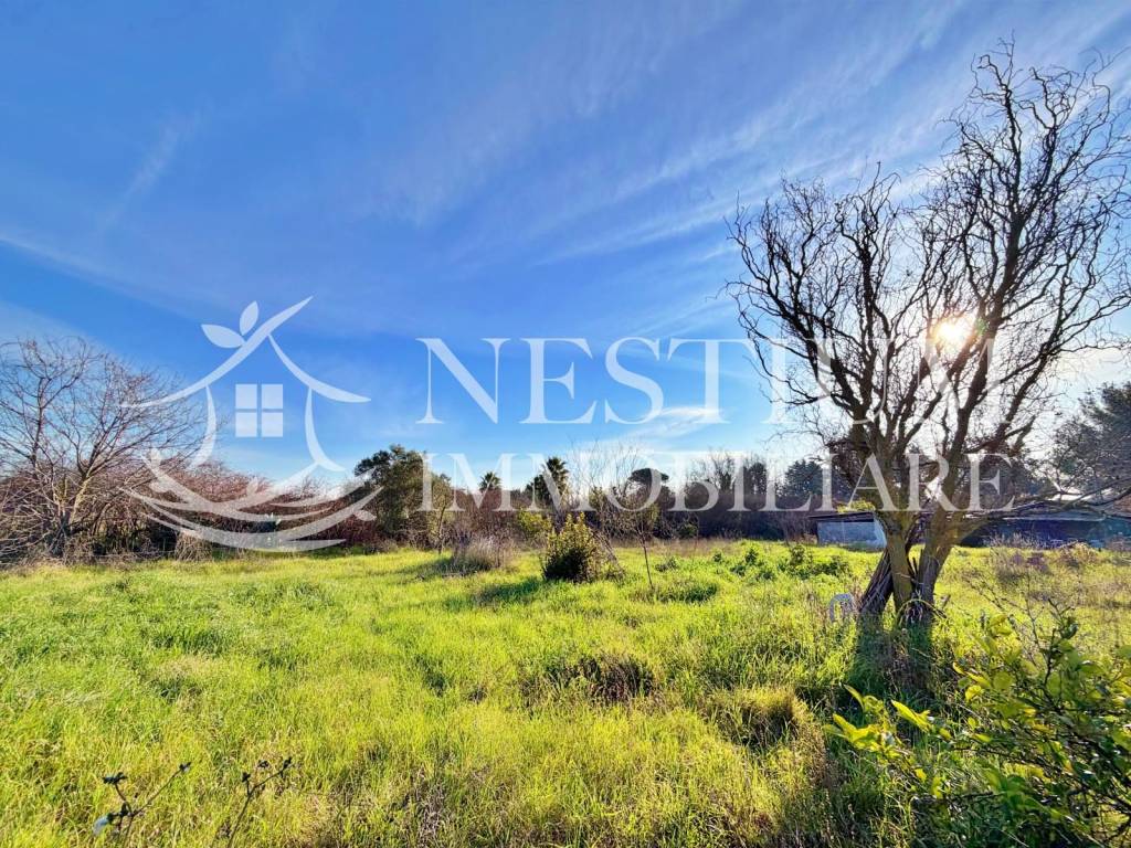 immagine annuncio 4 di 11