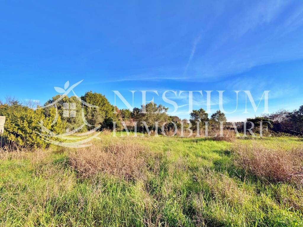 immagine annuncio 5 di 11