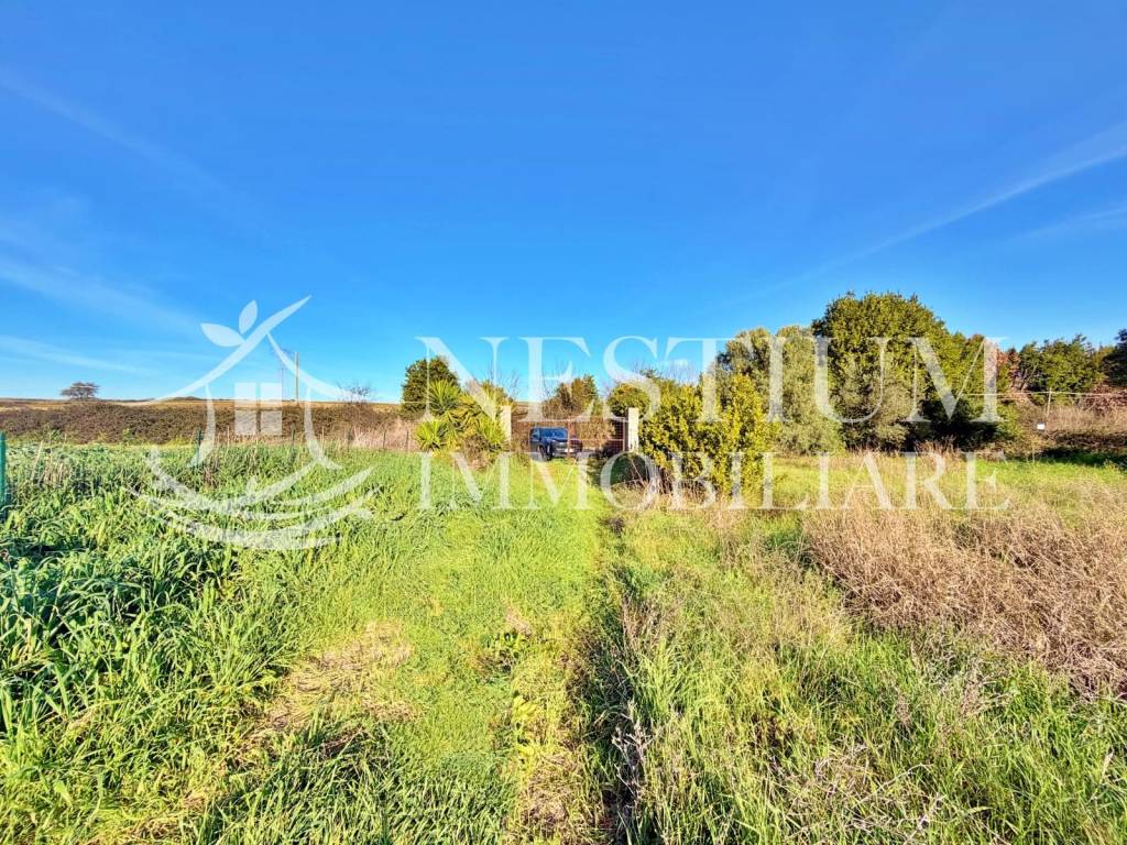 immagine annuncio 6 di 11