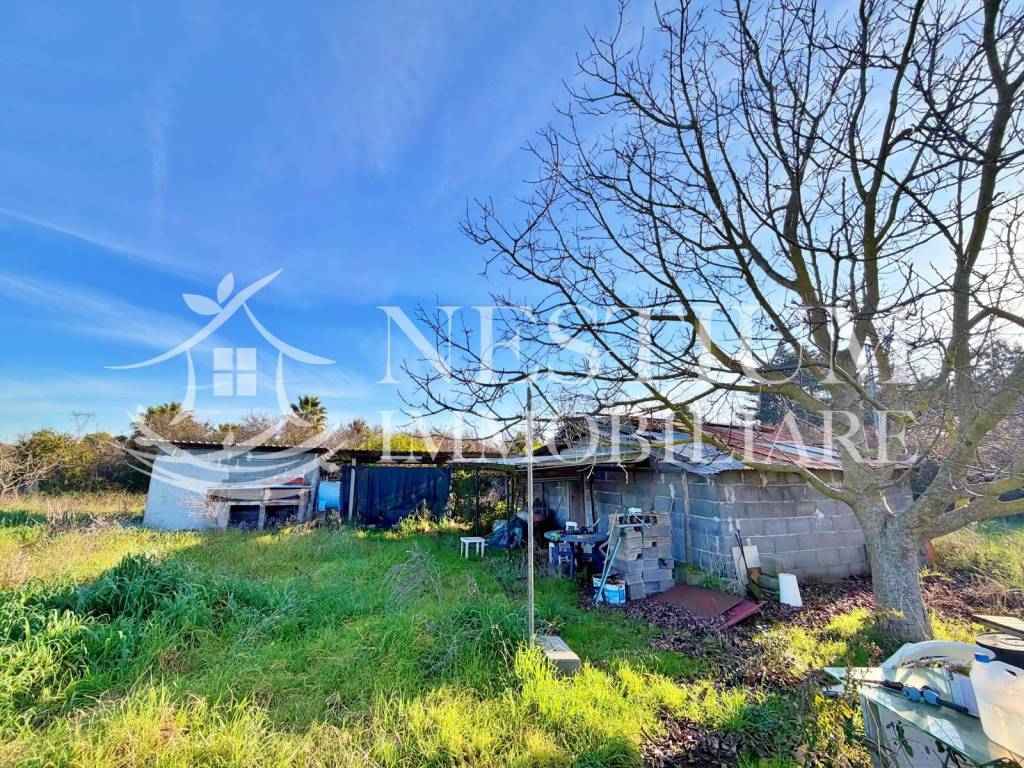 immagine annuncio 7 di 11