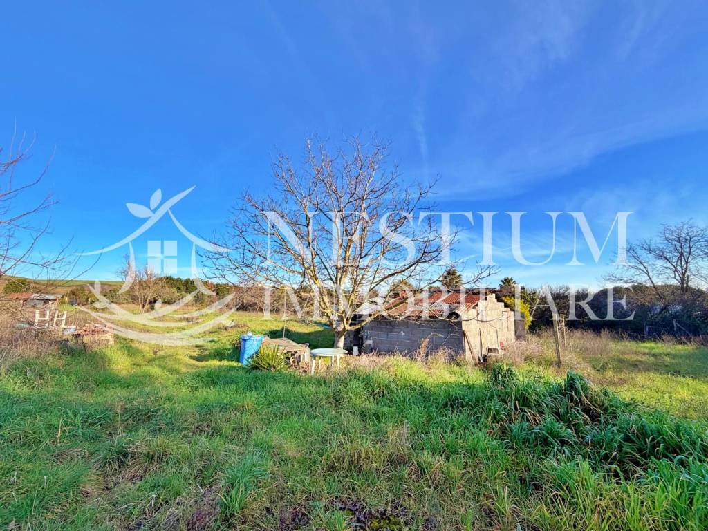 immagine annuncio 8 di 11