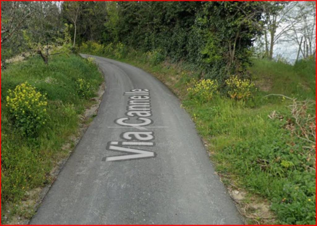 immagine annuncio 3 di 12