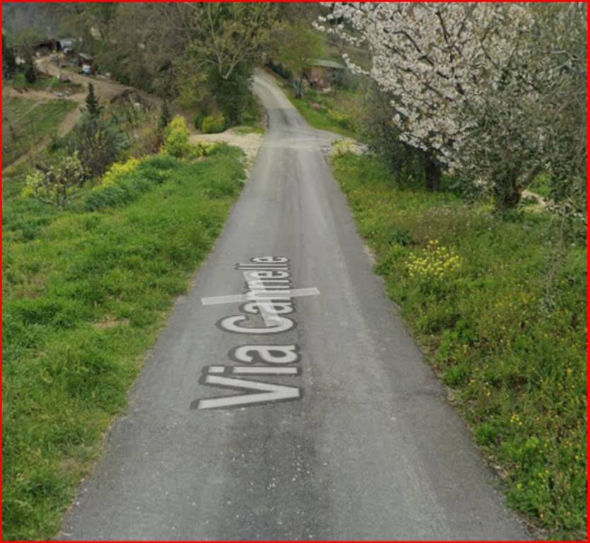 immagine annuncio 5 di 12