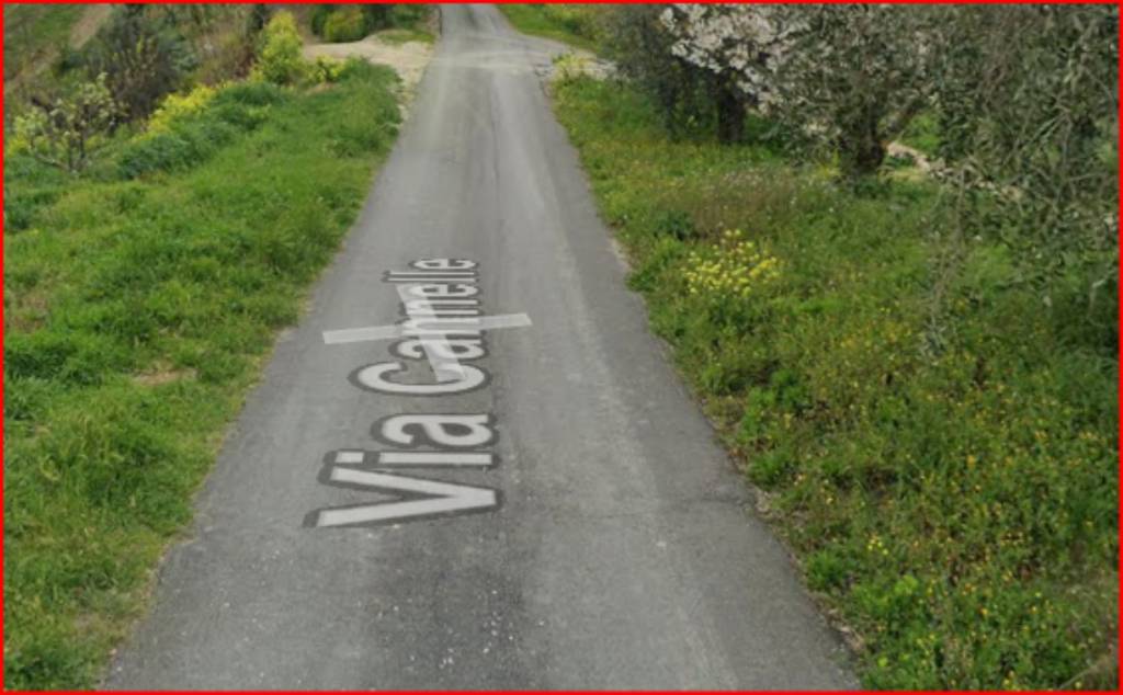 immagine annuncio 6 di 12