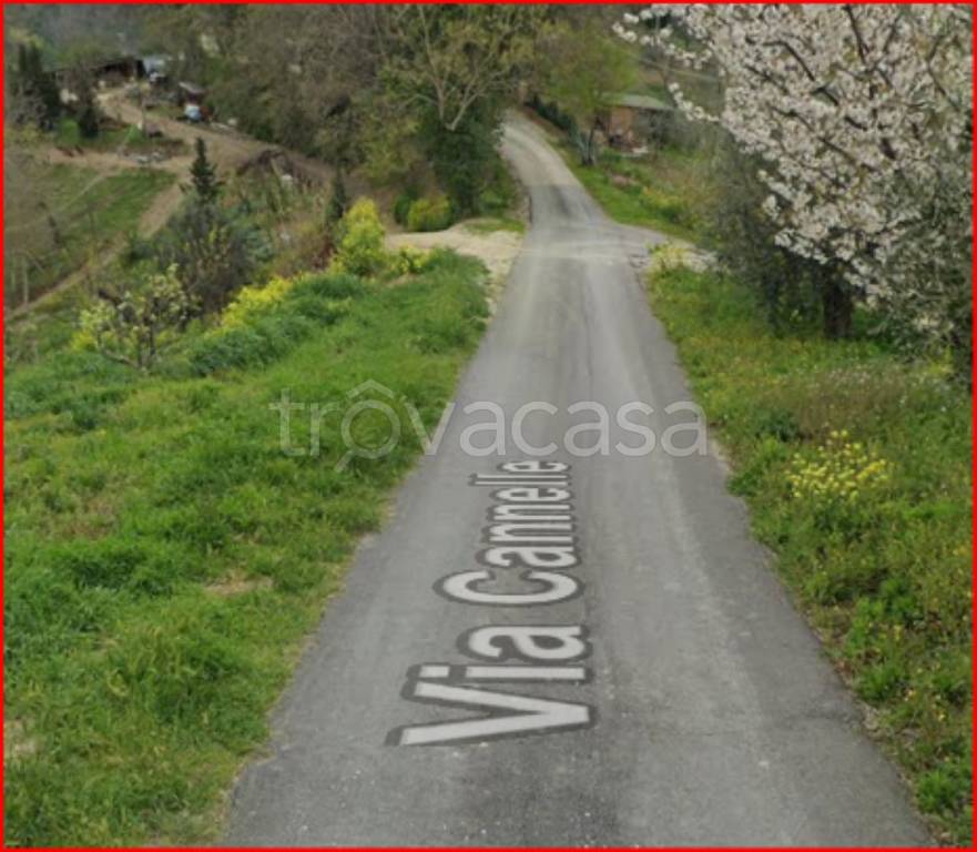 immagine annuncio 9 di 12