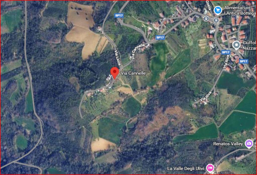 immagine annuncio 11 di 12