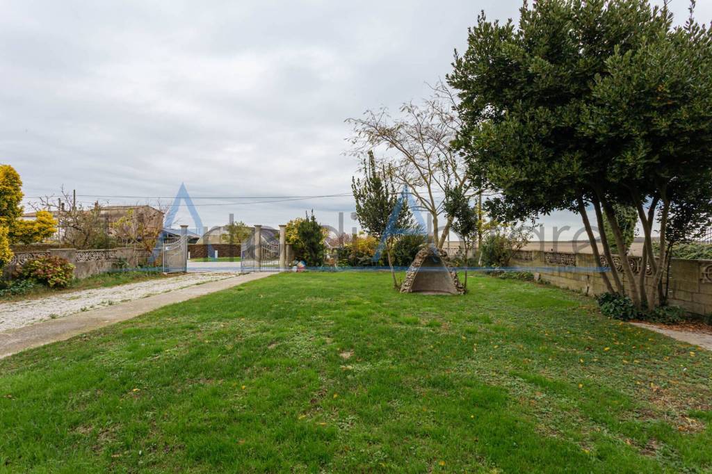 immagine annuncio 12 di 13