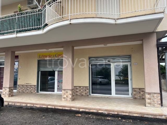 immagine annuncio 8 di 11