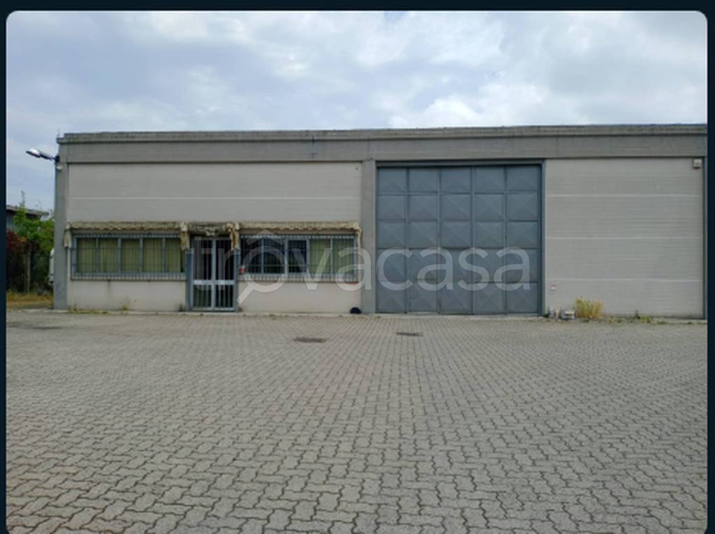 immagine annuncio 2 di 12