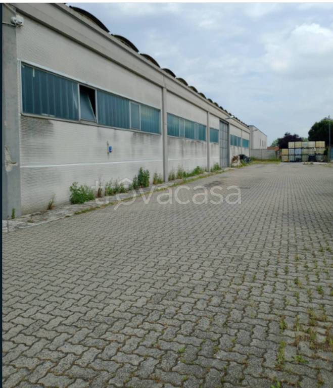 immagine annuncio 1 di 12